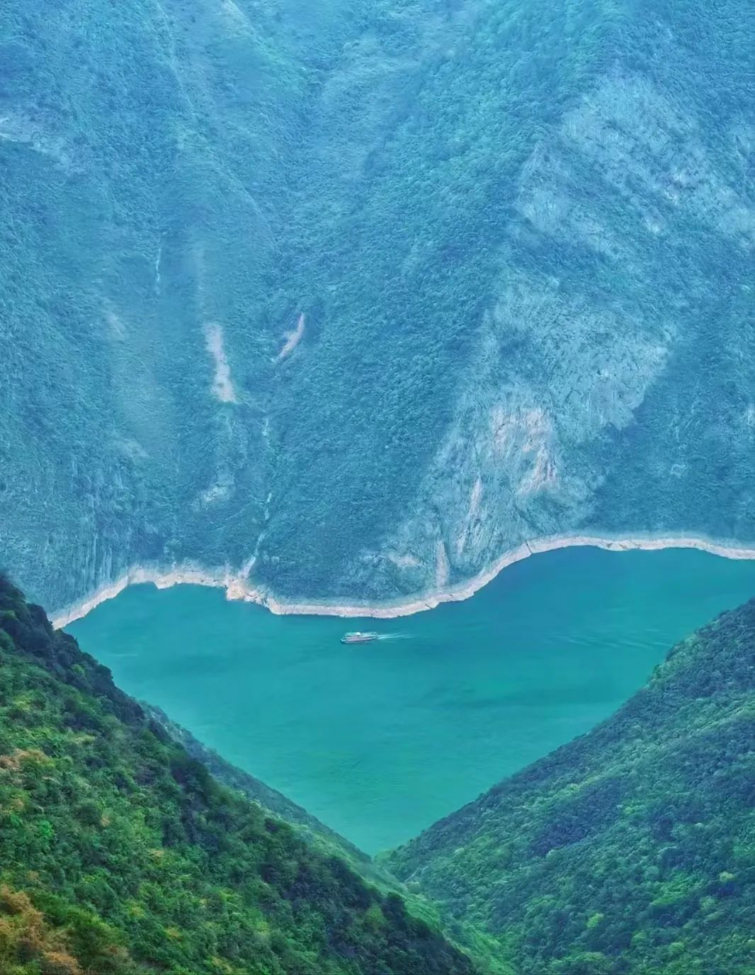 图片7.png 图片7.png